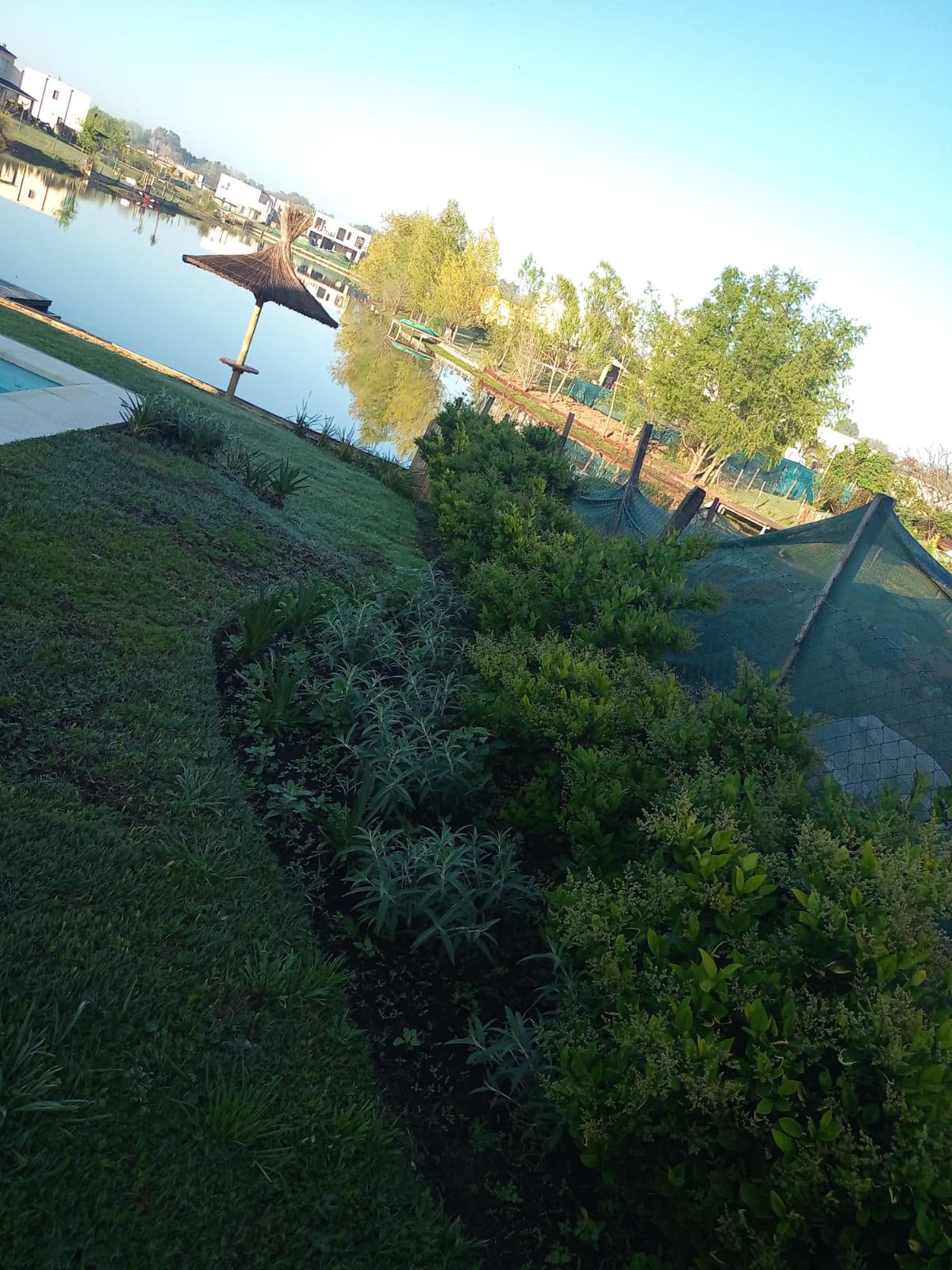 Plantación de vegetación en jardín